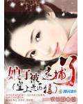 皇上是匹狼：娘子被逮捕了