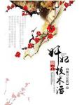 奸妃是个技术活