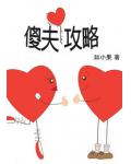 傻夫攻略