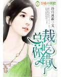 霸道总裁的小妻子