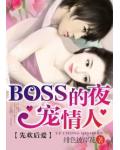 先欢后爱：BOSS的夜宠情人