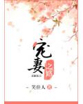 宠妻之路