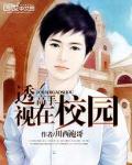 透视高手在校园