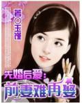 先婚后爱：前妻难再娶