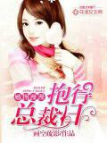 婚图漫漫：抱得总裁归