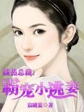腹黑总裁：霸宠小逃妻